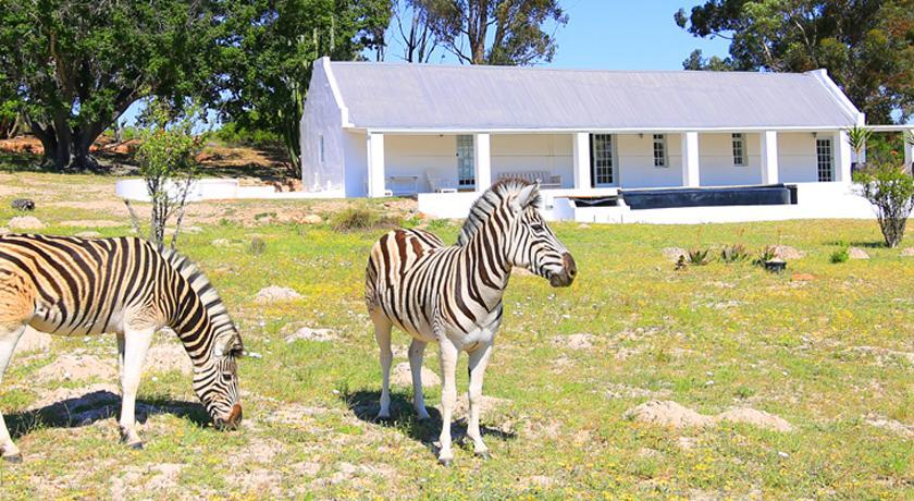 Arnion - Nature Retreat Clanwilliam Ngoại thất bức ảnh