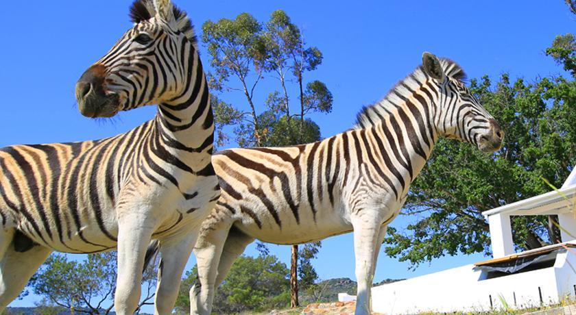 Arnion - Nature Retreat Clanwilliam Ngoại thất bức ảnh